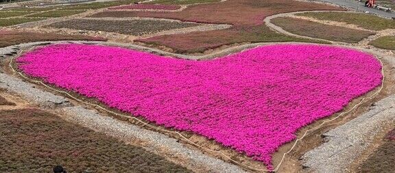 4日 15時30分からのご予約