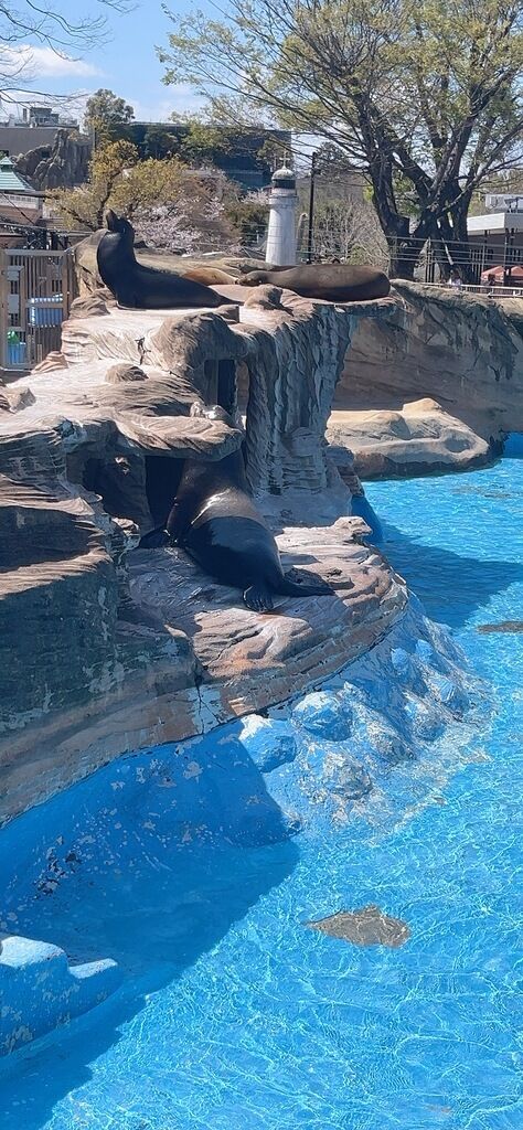 楽しかった(/ω＼*)