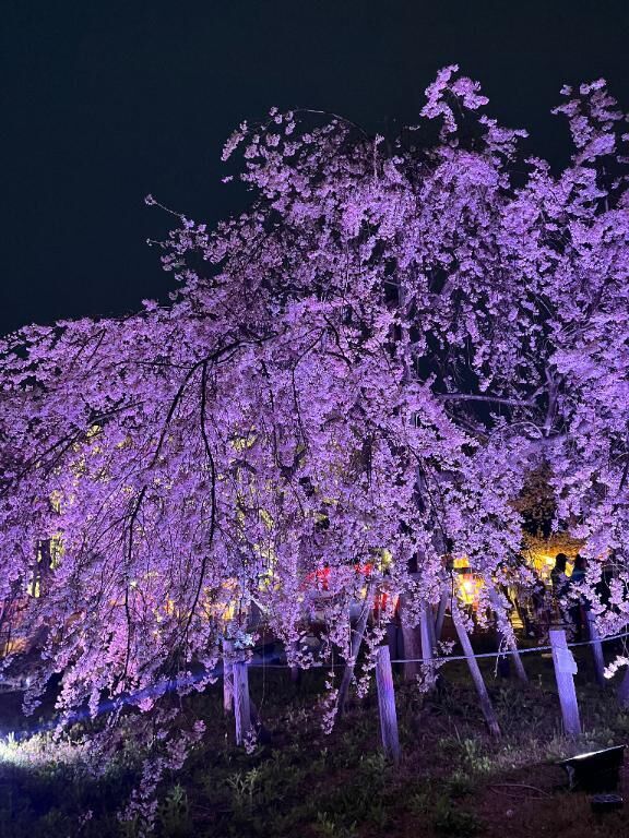 [お題]from:宴会部長さん