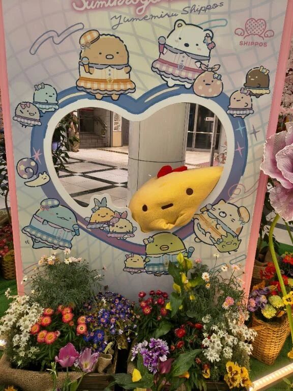 &lrm;🤍空を見上げて…