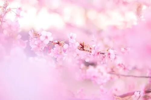 本日お休みします♡