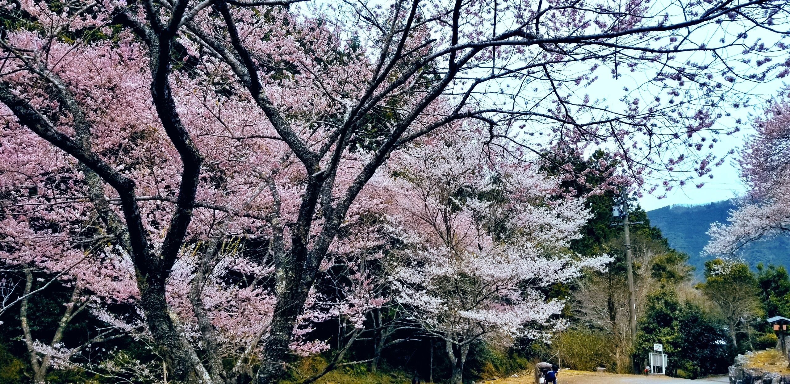 ポカポカ陽気♪