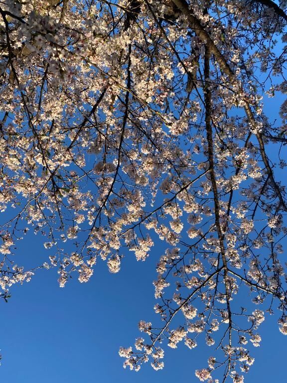 本日、残り1枠のみ♡