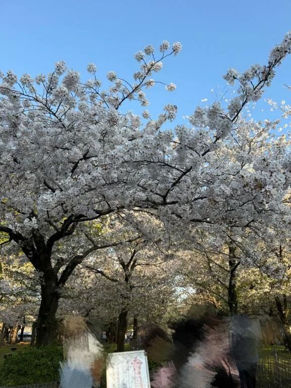 🍑キラキラ金曜日.*･ﾟ