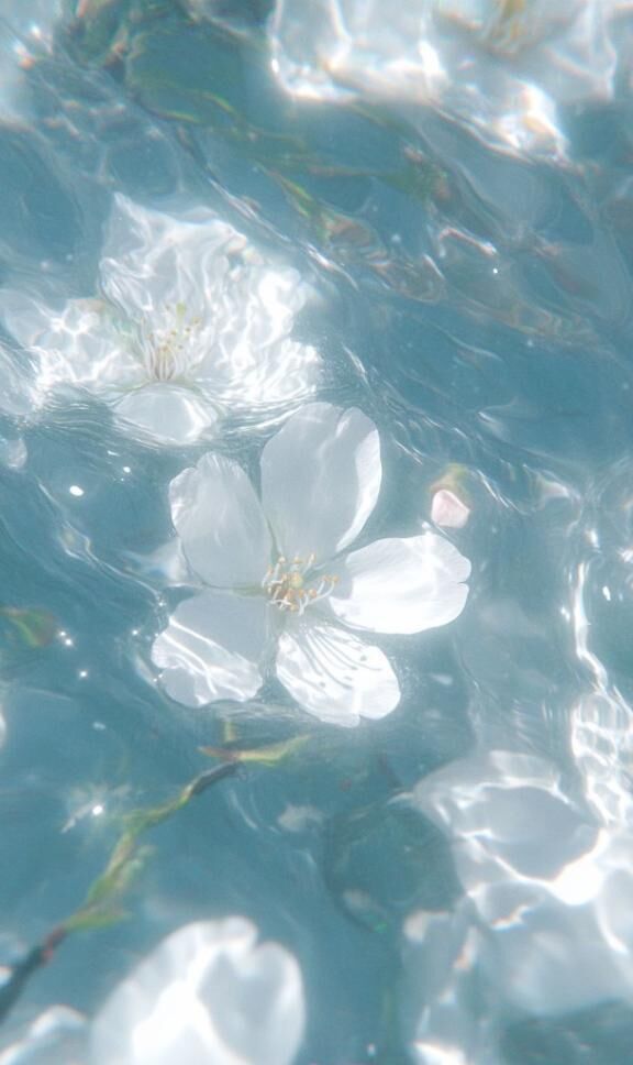 ご自愛ください