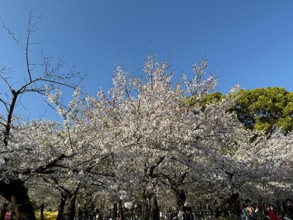 嬉しすぎて😉🩵