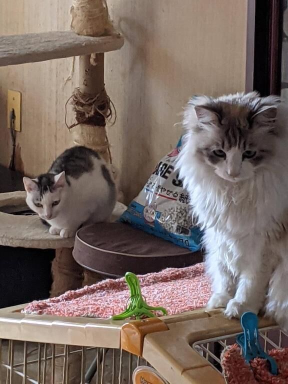 ナイスドライブ