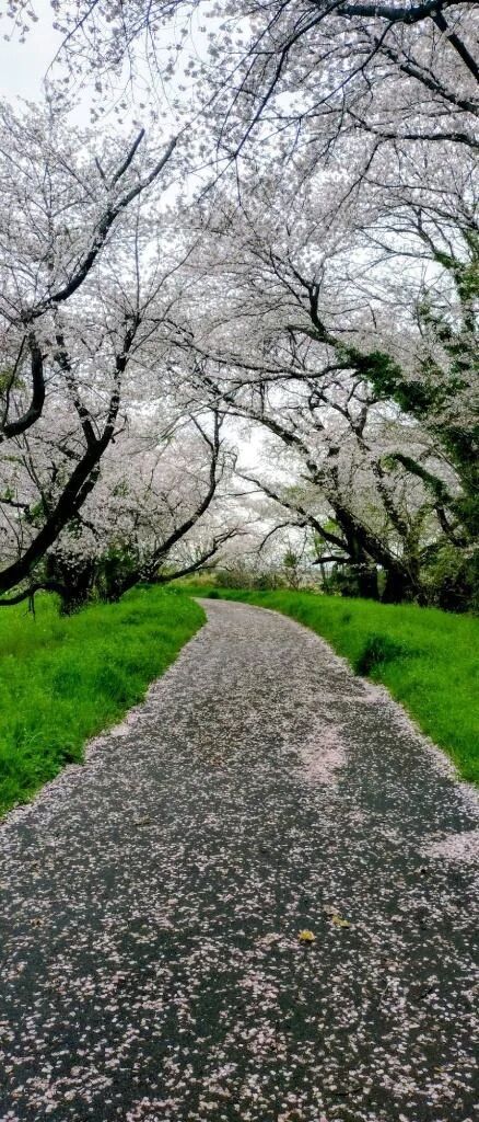 明日と明後日出勤するよ😊