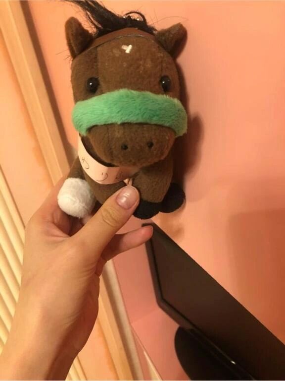 【明後日から】