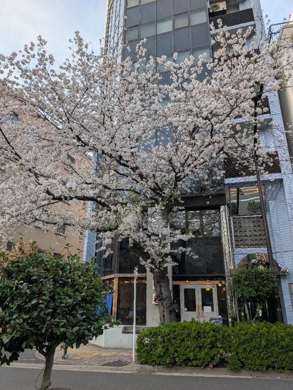 明日、急遽出勤するよ！！