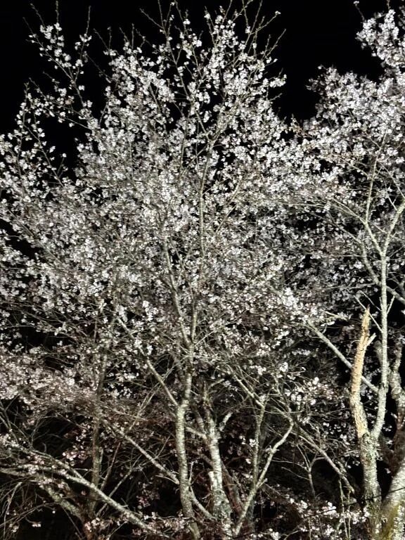 今日もありがとう❣️