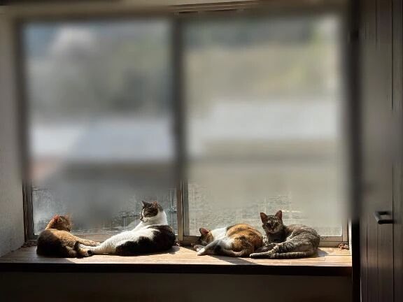 お休み御免🙇🏻&zwj;♀️