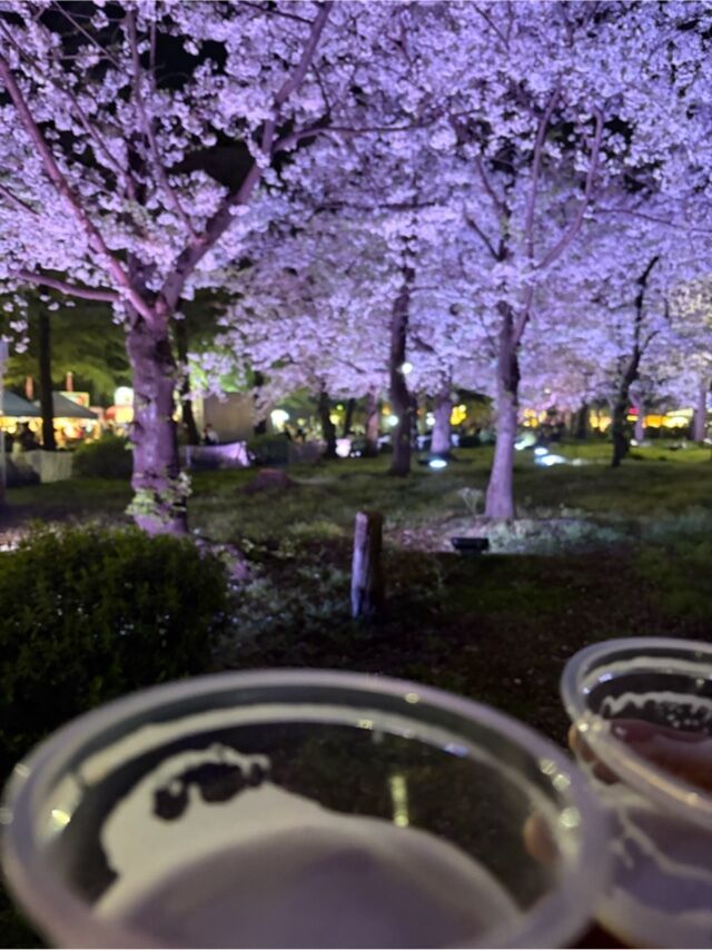 ほたるの人妻川柳日記(夜桜デート)