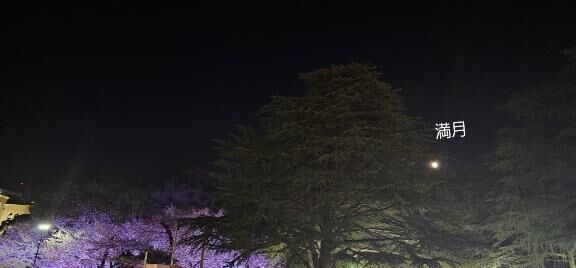 [お題]from:宴会部長さん