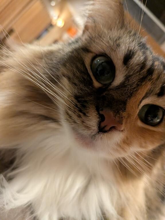 突然の出勤です