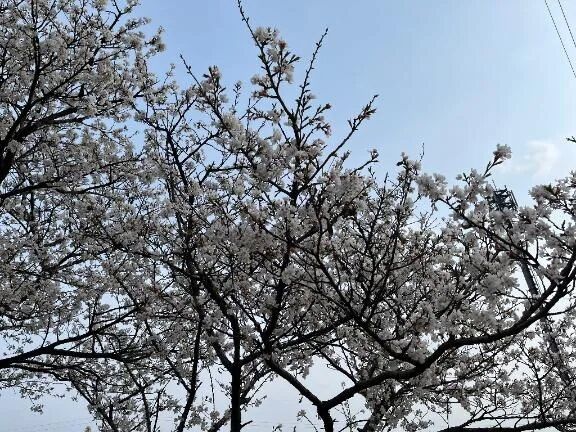 お疲れ様です😊