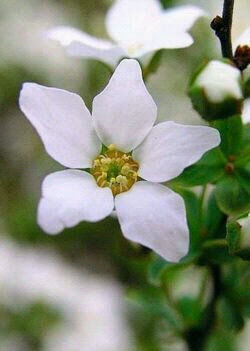 ザーザー雨かな。