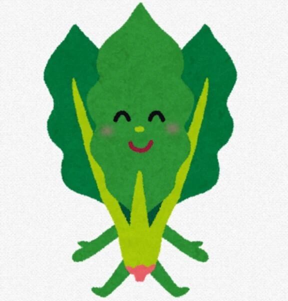 朝のかんな丸？！