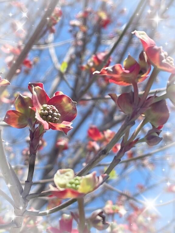 ありがとうございます♡