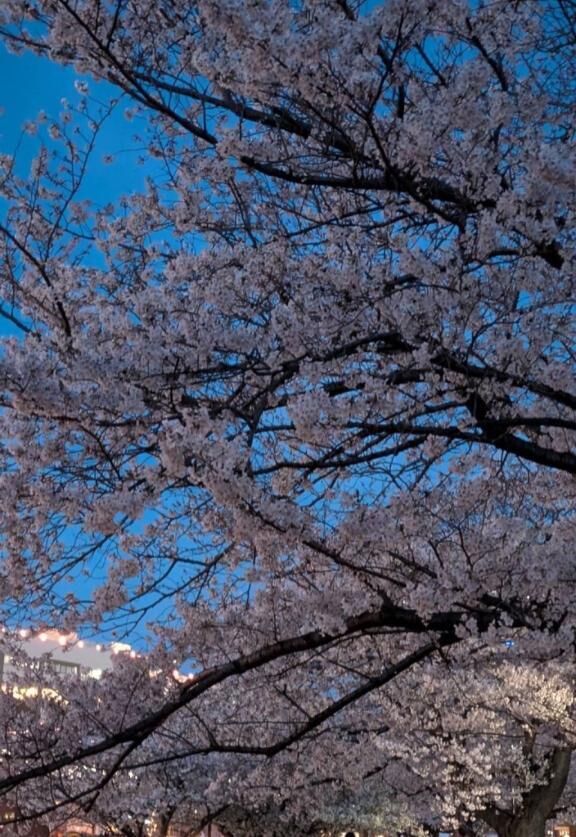 [お題]from:宴会部長さん