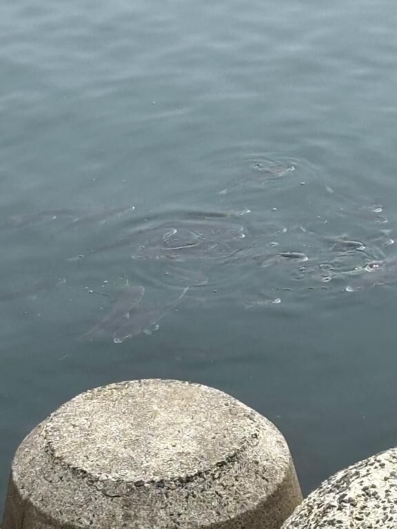 况(♡ ♡♡♡ )♡况(♡ ♡♡♡ )♡况况(♡ ♡♡♡ )♡况