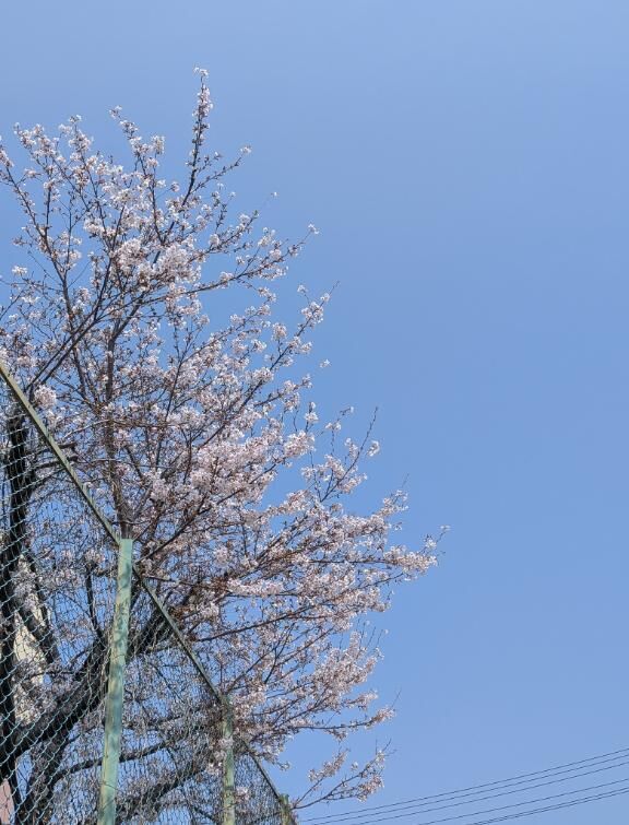 お休み明け…１日目(♡ﾟ♡ﾟ♡)ﾄﾞｷﾄﾞｷ