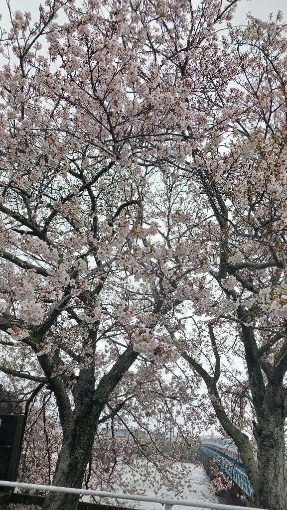 [お題]from:宴会部長さん