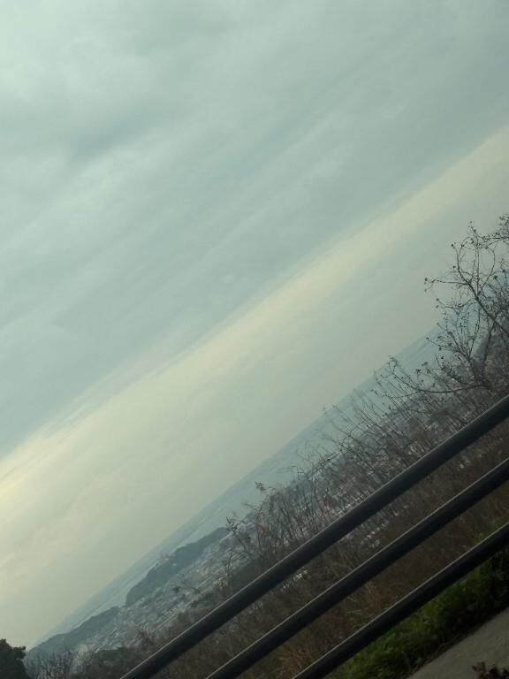 ありがとう♡♡