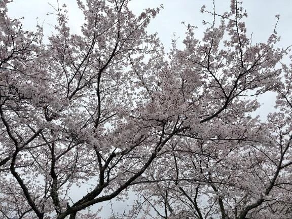 綺麗だったぁ😳