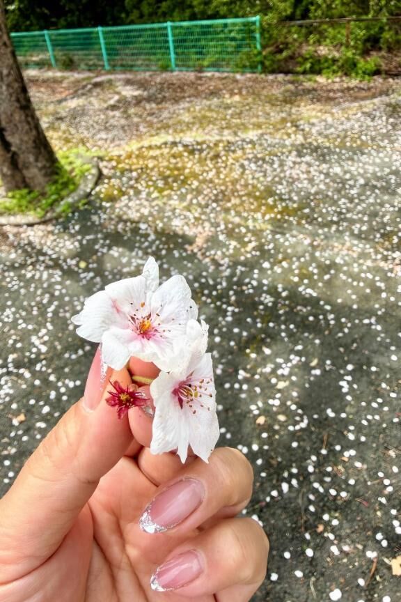 今日もありがとうございました