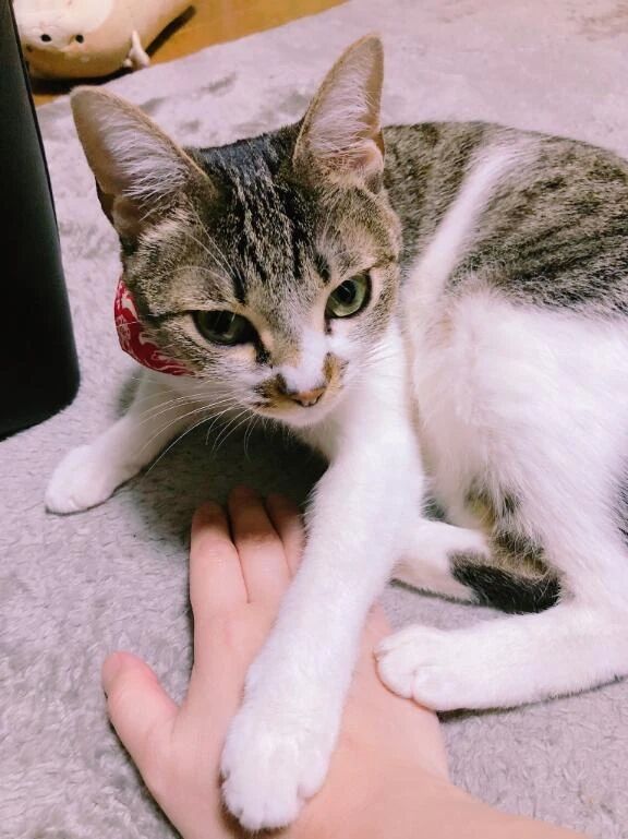 火曜日までお預け(◞‸◟)