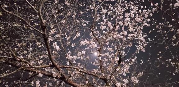 日々感謝♡明日からイベント開催☆