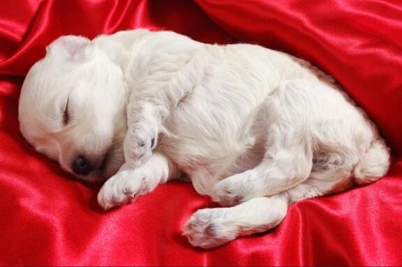 お疲れ様でした💓