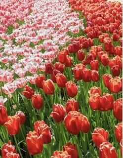 [お題]from:とりあえずビールさん