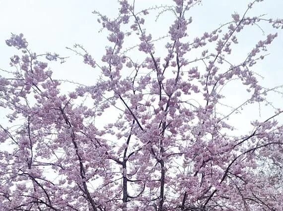 おはようございます🫶