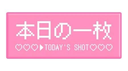 ❤️しゅっきん❤️