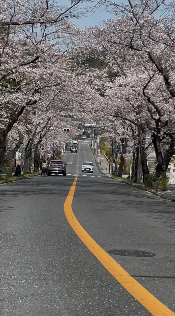 おはようございます