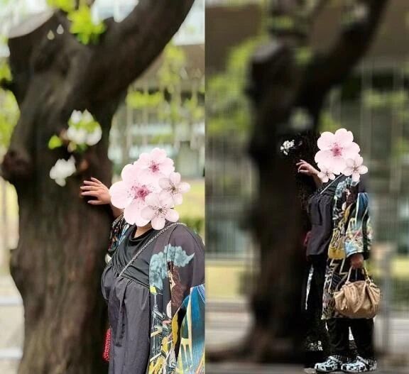 きんにく２(中に画像あり〼)