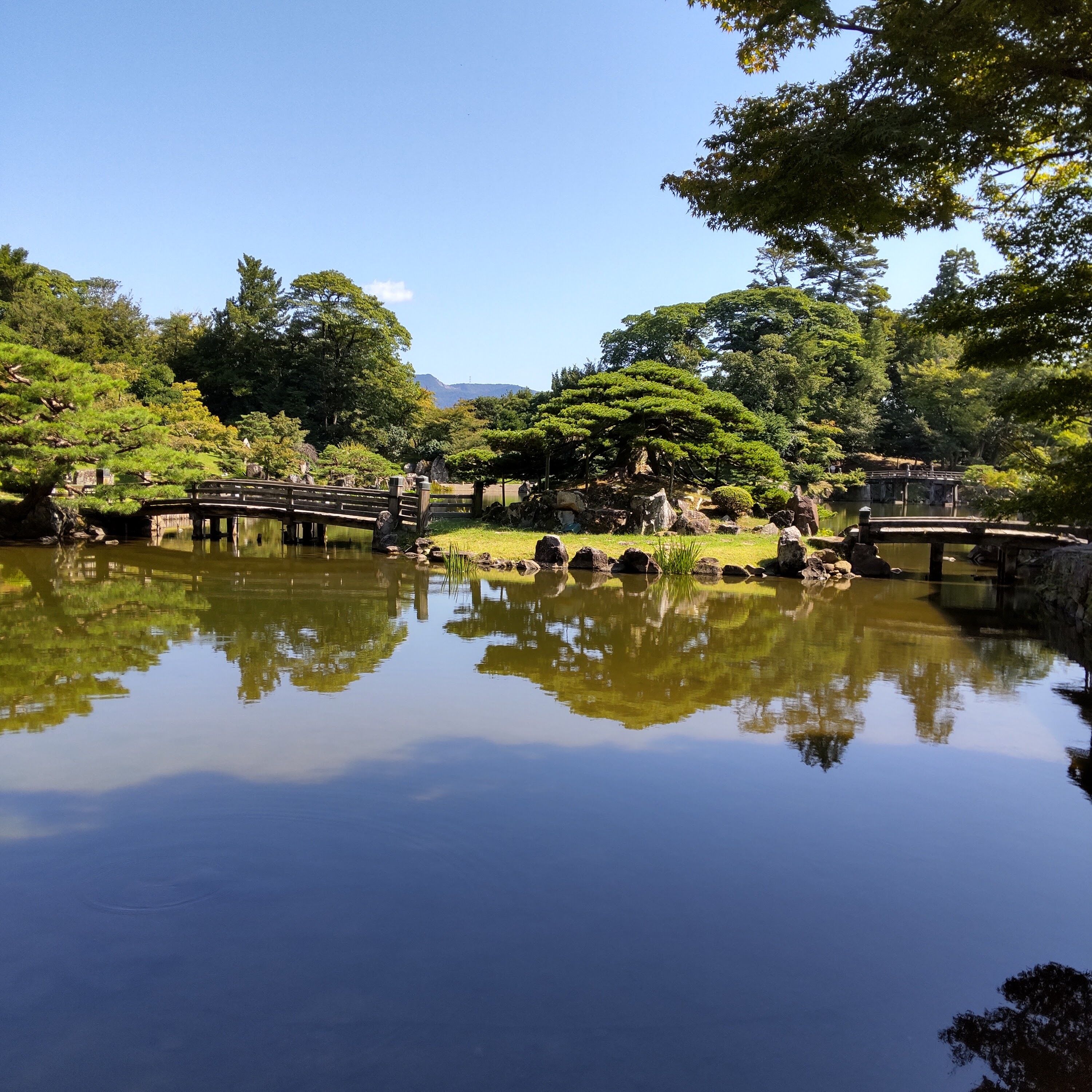 今週の予定です♪