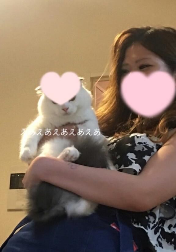 人間化してもらった🤣🤣