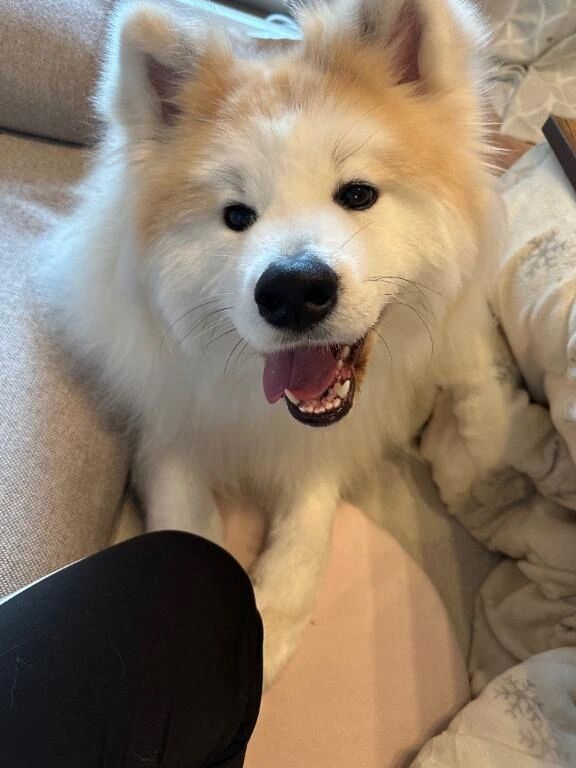 明日出勤です！