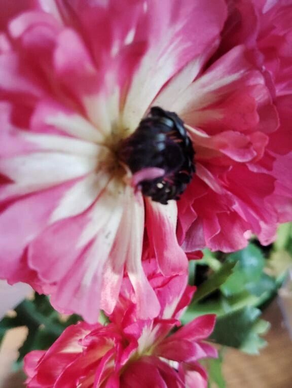 もうそろそろ。