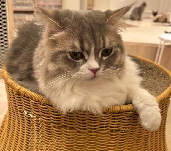 ♡♡口コミについて！！♡♡