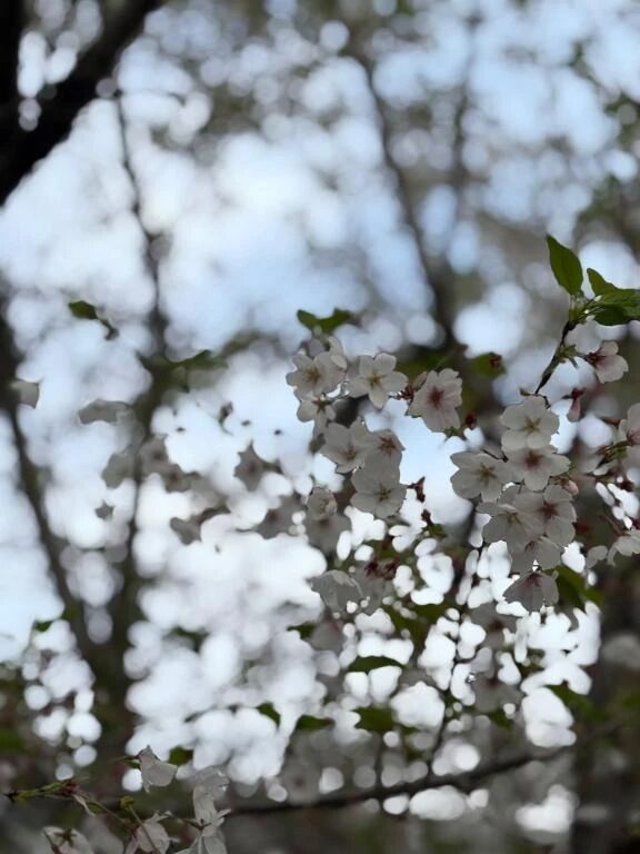 満員御礼😳❤️