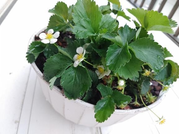 おはようございま―す♡♡♡♡♡