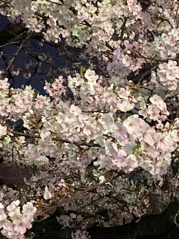 お休みです(｡-_-｡)