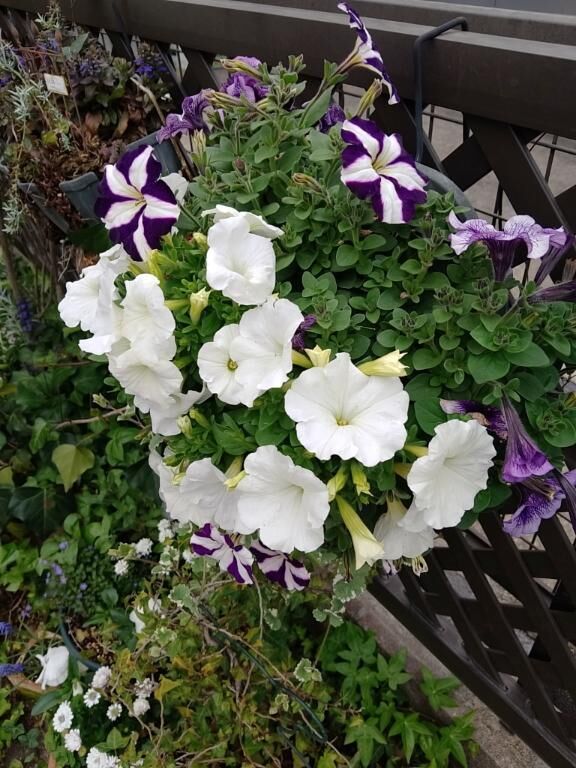 (*´∀｀*)癒されるぅ♡