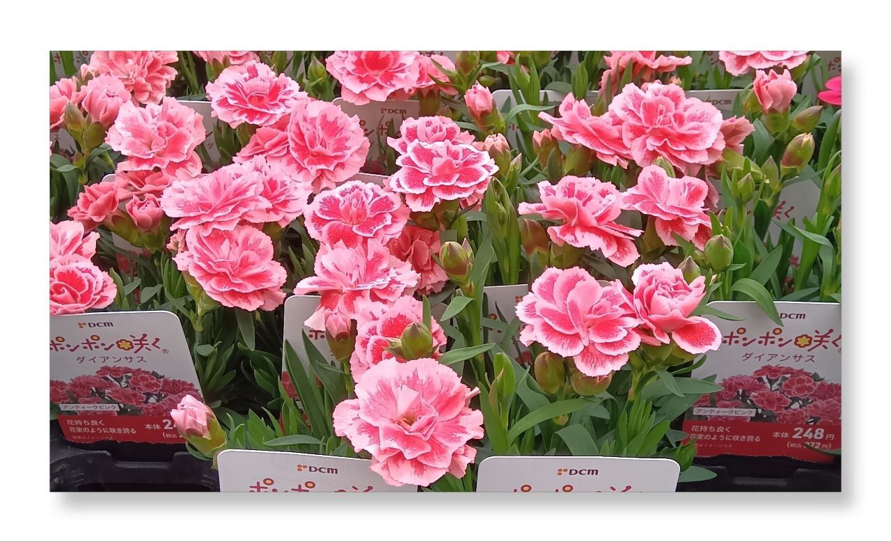 宜しくねぇ〜♡