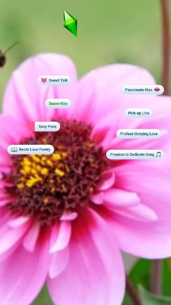 おはよございます😊