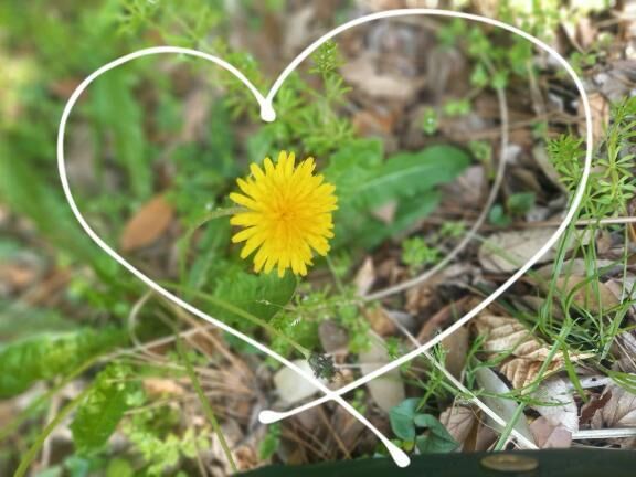 きょうもありがとうございました♡♡*･